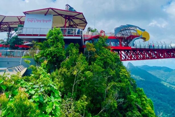 Langkawi Eagle's Nest Skywalk